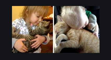 Wie die Katze, so das Kind: 17 Fotos, die die Freundschaft dokumentieren, die zwischen einer Katze und ihrem kleinen Besitzer entstehen kann